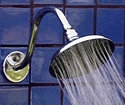 8 inch Rainshower
